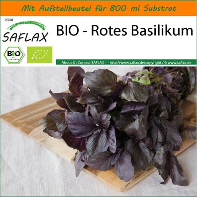 SAFLAX Garden in the Bag - BIO - Rotes Basilikum - Ocimum - 400 Samen