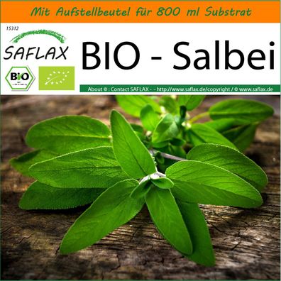 SAFLAX Garden in the Bag - BIO - Salbei - Salvia - 60 Samen