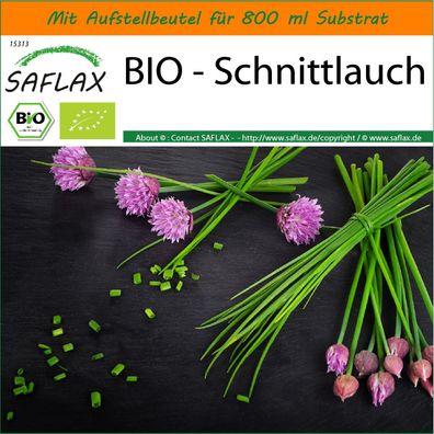 SAFLAX Garden in the Bag - BIO - Schnittlauch - Allium - 250 Samen