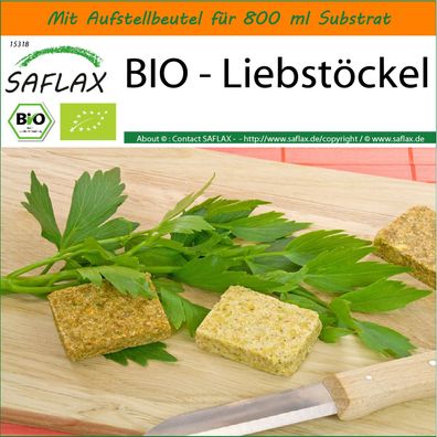 SAFLAX Garden in the Bag - BIO - Liebstöckel - Levisticum - 100 Samen
