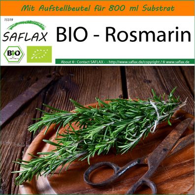 SAFLAX Garden in the Bag - BIO - Rosmarin - Rosmarinus - 40 Samen