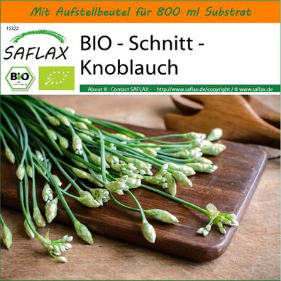 SAFLAX Garden in the Bag - BIO - Schnitt - Knoblauch - Allium - 100 Samen