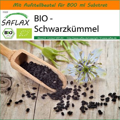 SAFLAX Garden in the Bag - BIO - Schwarzkümmel - Nigella - 300 Samen