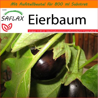 SAFLAX Garden in the Bag - Eierbaum - Solanum - 20 Samen