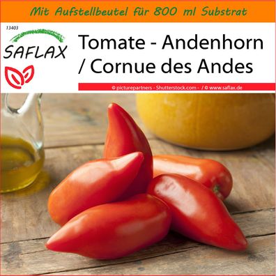 SAFLAX Garden in the Bag - Tomate - Andenhorn / Cornue des Andes - Lycopersicon - 10