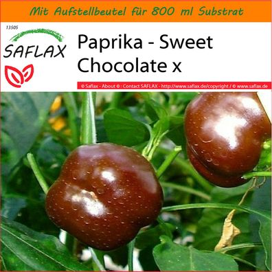 SAFLAX Garden in the Bag - Paprika - Sweet Chocolate x - Capsicum - 10 Samen