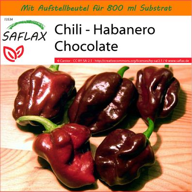 SAFLAX Garden in the Bag - Chili - Habanero Chocolate - Capsicum - 10 Samen
