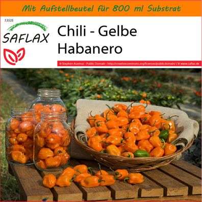 SAFLAX Garden in the Bag - Chili - Gelbe Habanero - Capsicum - 10 Samen