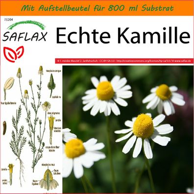SAFLAX Garden in the Bag - Echte Kamille - Matricaria - 300 Samen
