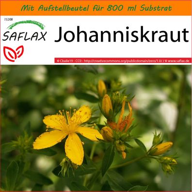 SAFLAX Garden in the Bag - Johanniskraut - Hypericum - 300 Samen