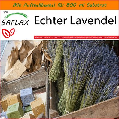 SAFLAX Garden in the Bag - Echter Lavendel - Lavandula - 150 Samen