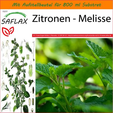 SAFLAX Garden in the Bag - Zitronen - Melisse - Melissa - 150 Samen