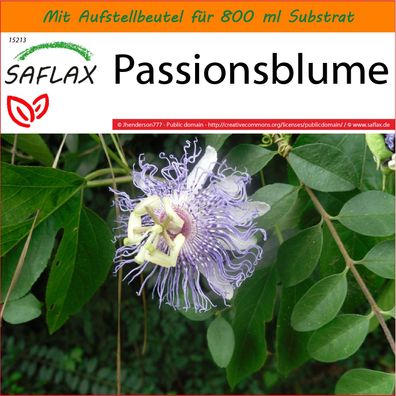 SAFLAX Garden in the Bag - Passionsblume - Passiflora - 5 Samen