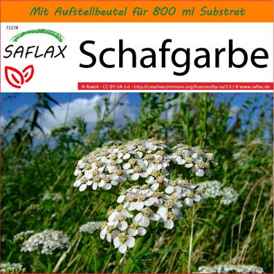 SAFLAX Garden in the Bag - Schafgarbe - Achillea - 200 Samen
