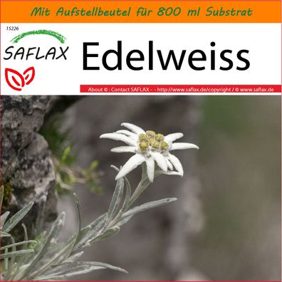 SAFLAX Garden in the Bag - Edelweiss - Leontopodium - 500 Samen