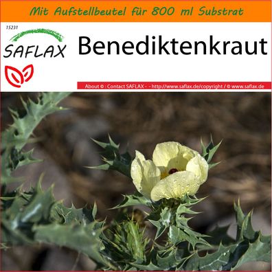 SAFLAX Garden in the Bag - Benediktenkraut - Cnicus - 50 Samen