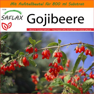 SAFLAX Garden in the Bag - Gojibeere - Lycium - 200 Samen