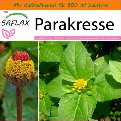 SAFLAX Garden in the Bag - Parakresse - Acmella - 500 Samen