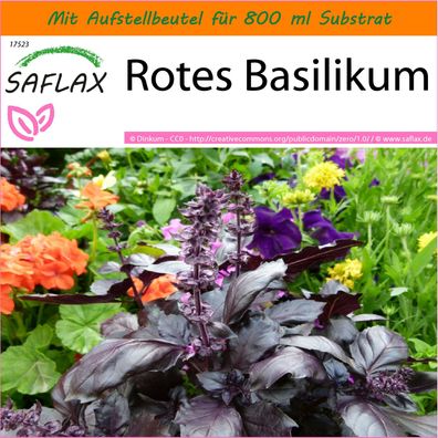 SAFLAX Garden in the Bag - Rotes Basilikum - Ocimum - 200 Samen