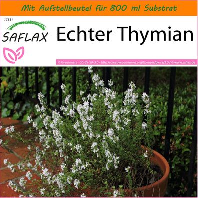 SAFLAX Garden in the Bag - Echter Thymian - Thymus - 200 Samen