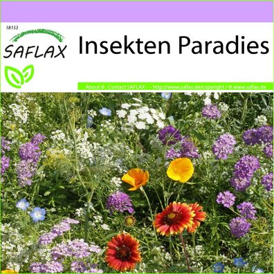 SAFLAX - Insekten Paradies - 19 - 1000 Samen