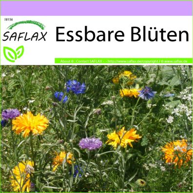 SAFLAX - Essbare Blüten - 12 - 1000 Samen