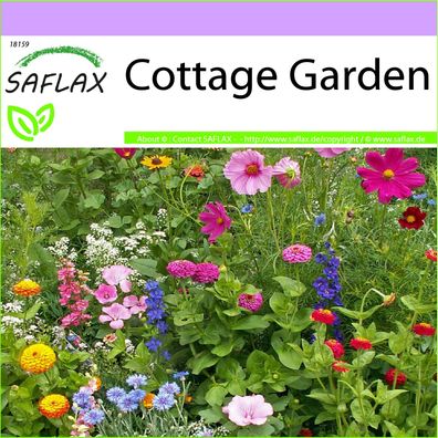 SAFLAX - Cottage Garden - 21 - 1000 Samen