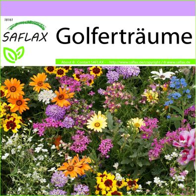 SAFLAX - Golferträume - 17 - 1000 Samen