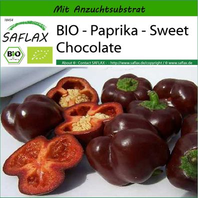 SAFLAX - BIO - Paprika - Sweet Chocolate - Capsicum - 10 Samen