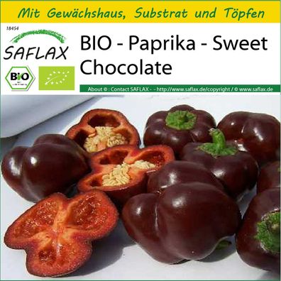 SAFLAX Anzucht Set - BIO - Paprika - Sweet Chocolate - Capsicum - 10 Samen