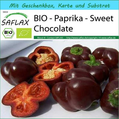 SAFLAX Geschenk Set - BIO - Paprika - Sweet Chocolate - Capsicum - 10 Samen