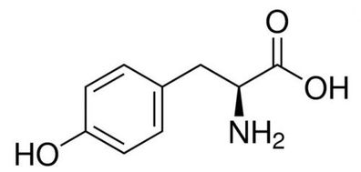 L-Tyrosin (98,5-101,5%, USP, Food Grade)