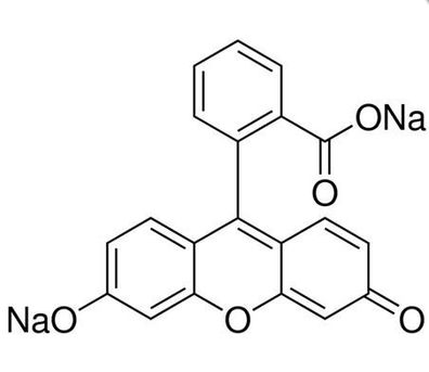 Fluorescein Natriumsalz (Uranin)