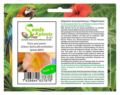 1x Clivia pale peach Gideon Botha pfirsischfarben Pflanzen - Saat B972