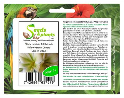 1x Clivia miniata Bill Morris Yellow Green Centre Pflanzen - Saat B962