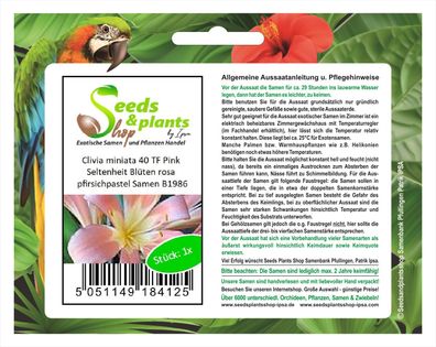 1x Clivia miniata 40 Pink rosa pfirsichpastell Pflanzen - Samen B1986