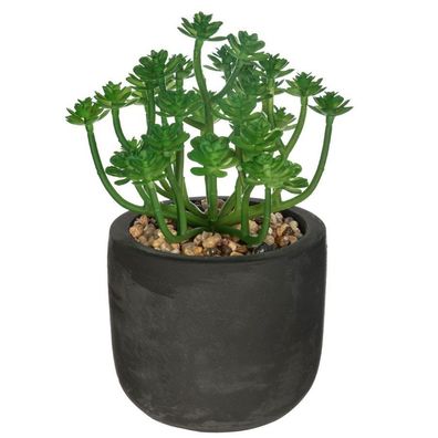 Kunstpflanze, Dekopflanze Sukkulente, 20 cm, schwarzer Topf