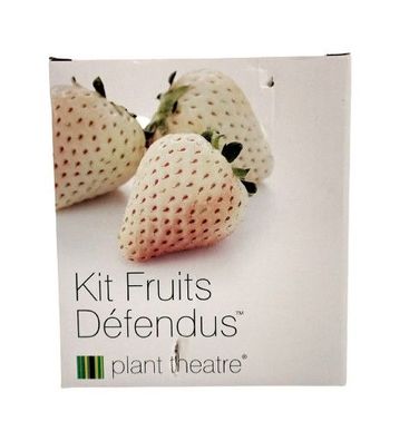 Plant Theatre Obstkit mit 5 köstlichen Früchten zum Wachsen Wild Samen Anpflanz