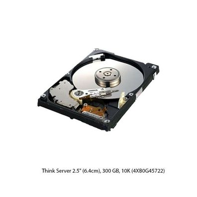 ThinkServer Gen 5 2.5" (6.4 cm), 300GB 10K Enterprise SAS 6Gbps Hot Swap HDD