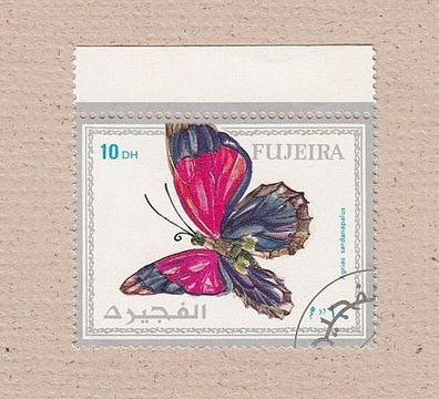 Motiv - Schmetterling Agrias sardanapalus (Großformat)- gestempelt