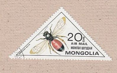 Motiv - Insekten - Andrena scita - gestempelt