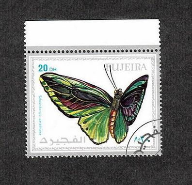 Motiv - Schmetterling - Schoenbergia paradisea (Großformat) - gestempelt