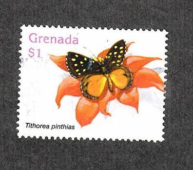 Motiv - Grenada Schmetterling - Tithorea pinthias - gestempelt