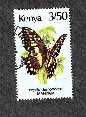 Motiv - Schmetterling - Kenia - Papilio demodocus (Citrus Schwalbenschwanz) - gestemp