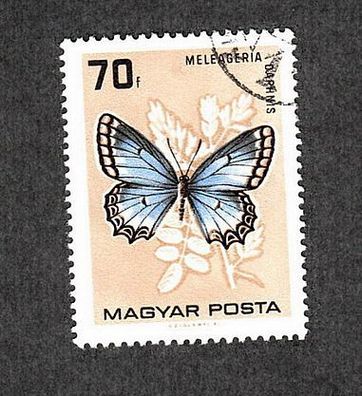 Motiv - Schmetterling-Ungarn - Meleageria daphnis - Zahnflügelbläuling - gestempelt