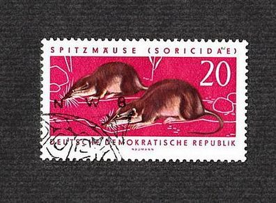 MotivDeutschland - DDR - Spitzmäuse (Soricidae) - o