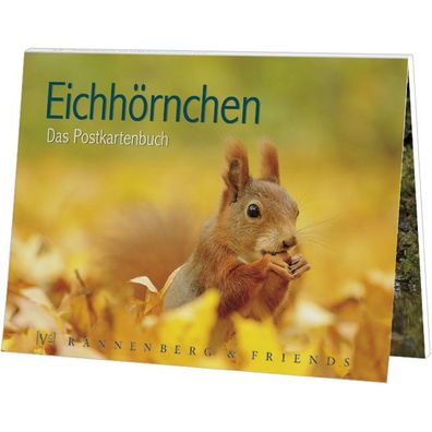 Postkartenbuch Eichhörnchen Postkartenbücher Ansichtskarte Postkarte Tier Tiere