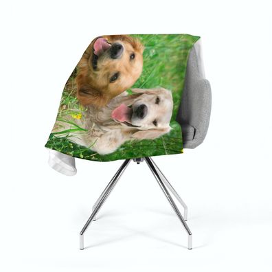 Foto-Kuscheldecke "Labradorhunde auf der Wiese" Wohndecke, Fleecedecke mit Fotodruck