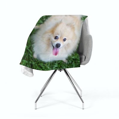 Foto-Kuscheldecke "Glücklicher pommerscher Hund" Wohndecke, Fleecedecke mit Fotodruck