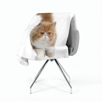 Foto-Kuscheldecke "Flauschige Katze" Wohndecke mit Motiv, Fleecedecke mit Fotodruck